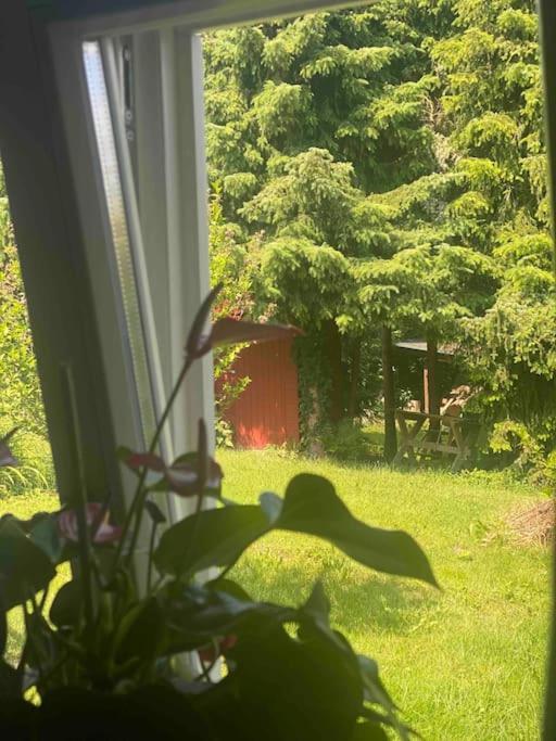 Familienfreundliches Landhaus "Karin" Mit Pool Struppen Kültér fotó